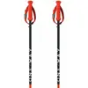 Fischer Bâtons Rd 16 Sl Pro