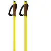 Fischer Bâtons Storm Gtx M