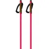 Fischer Bâtons Storm Gtx L