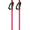 Fischer Bâtons Storm Gtx M