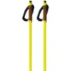 Fischer Bâtons Storm Gtx L