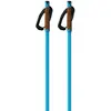 Fischer Bâtons Storm Gtx M