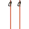 Fischer Bâtons Storm Gtx S