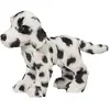 Douglas Dooley Dalmatian