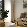 Eglo CAMACHO Lampadaire LED, 99296,