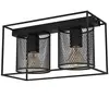 EGLO Plafonnier Catterick, noir, deux abat-jour cage