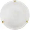 Eglo Salome