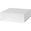 Amplis de puissance Pro-Ject Amp Box DS2 Stereo Silver