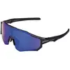 Brn Lunettes De Soleil Polarisées Zx11 Blue Mirror/CAT3