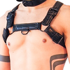 Harnais PUPPY HARNESS Noir L/XL