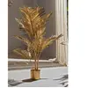 Kentia Gold Plant 126 cm. 85X126 cm
