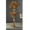 Plante Ficus Benjamin Gold 154 cm. 78 x 154 cm