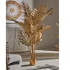 Plante Kentia Gold 160 cm. 125X160 cm