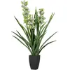 Orchidée Cymbidium 70 x 70 x 110 cm