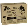 Mégapack Felix Tendres Effilés 80 x 85 g pour chat - boeuf, poulet, canard, agneau