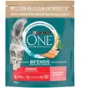 2x750g SterilCat saumon PURINA ONE croquettes pour chat