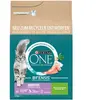 Purina One Bifensis Sensitive 2,8 Kg