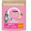 PURINA ONE Junior 1 12 Mois   Nourriture sèche Riche en Poulet pour Chat 1 x 750 g