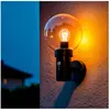 Applique Murale Extérieure Acier Inoxydable avec Détecteur PIR Optic -...