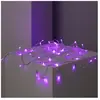 Guirlande Led Extérieure À Piles 5m Rose
