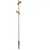 LEDS-C4 LED spot sur piquet Juncus 2, 2.700 K, brun