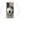 Coque pour Samsung Galaxy A13 4G / A13 4G Lite Samoyède Gris Race de chiens