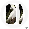 Souris Sans Fil Cacatoes Perroquets Blanc sur l'arbre (Maniacase)