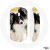 Souris Sans Fil Epagneul nain continental papillon Race de chiens ()