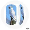 Souris Sans Fil Cacatoès Perroquets blanc Oiseaux (Maniacase)