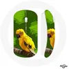 Souris Sans Fil Oiseaux de Perruches jaune Fond Vert (Maniacase)