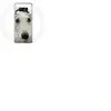 Coque pour Samsung Galaxy S8 Plus Chien de Pitbull Blanc