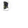 Maniacase Coque pour Samsung Galaxy J5 2017 Valentino Rossi Pilote de vitesse fond blanc