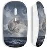 Souris sans Fil lune mer (Maniacase)