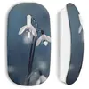 Souris Sans Fil Fleurs de neige (Maniacase)