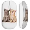 souris sans fil chats mignons Maniacase