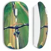 Souris sans Fil VTT on road (Maniacase)