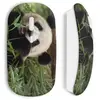 Souris sans fil Panda Cute (Maniacase)