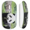 Souris sans fil Panda (Maniacase)