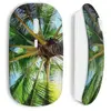 Souris sans fil Palmier (Maniacase)