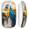 Souris sans fil Perroquet (Maniacase)