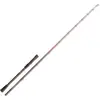 Akami Canne Jigging Denia