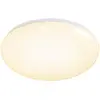 Aigostar Plafonnier B10310nmo 24w 2500 Lumens