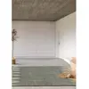 Tapis ethnique intérieur gris, 160 x 230 cm 48128
