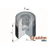Piston, étrier de frein AUTOFREN SEINSA D025386, arrière