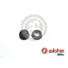 Autofren Kit d'assemblage, cylindre émetteur d'embrayage D1041