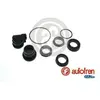 Autofren Seinsa D1176 Kit de réparation, maître-cylindre de frein