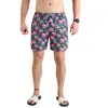 Newwood Short De Bain Watermelon 3XL