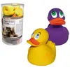 Jouet pour chien Gloria Canards Latex (18 pcs)