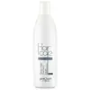 POSTQUAM SHAMPOOING POUR CHEVEUX BLANCS 250ML