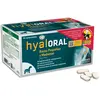 Hyaloral Chien Petite/Moyenne Race 90 Comprimés - Compléments Hyaloral pour chien